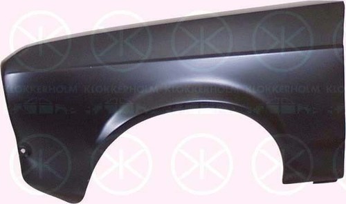 Front left wing - left,